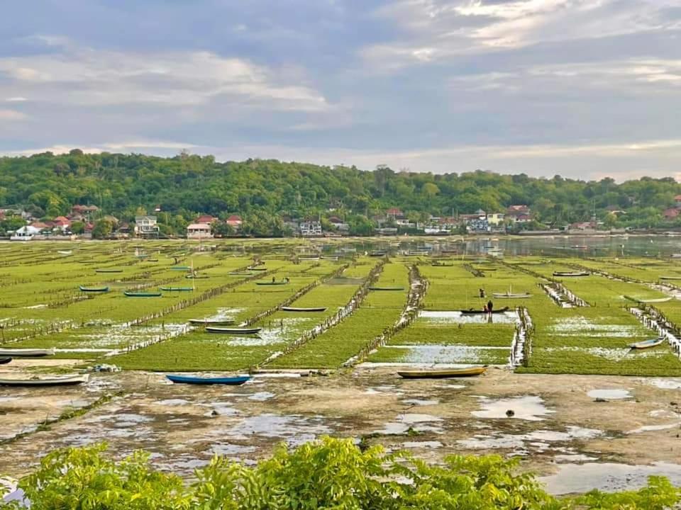 Lebaoh Nusa Cottage 蓝梦岛 外观 照片